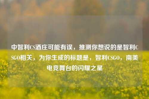 中智利CS酒庄可能有误,推测你想说的是智利CSGO相关,为你生成的标题是,智利CSGO,南美电竞舞台的闪耀之星