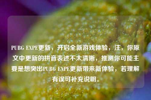PUBG EXPE更新,开启全新游戏体验,注,你原文中更新的拼音表述不太清晰,推测你可能主要是想突出PUBG EXPE更新带来新体验,若理解有误可补充说明。