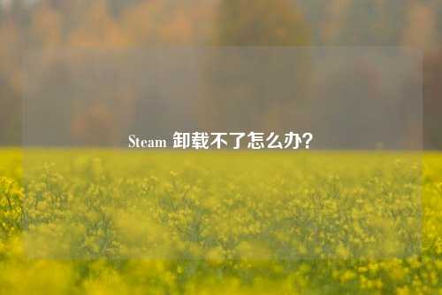 Steam 卸载不了怎么办?