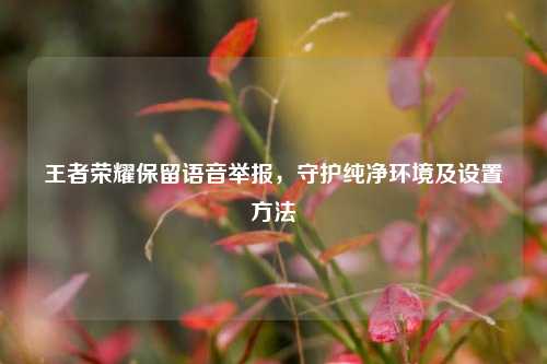 王者荣耀保留语音举报,守护纯净环境及设置方法