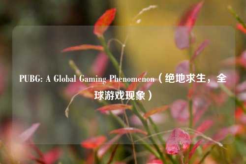 PUBG: A Global Gaming Phenomenon（绝地求生，全球游戏现象）