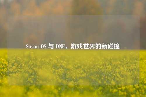 Steam OS 与 DNF，游戏世界的新碰撞
