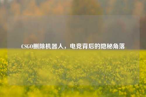 CSGO删除机器人,电竞背后的隐秘角落