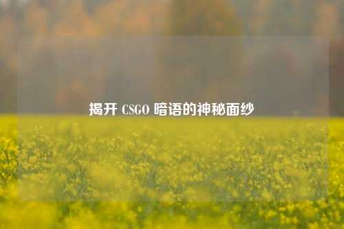 揭开 CSGO 暗语的神秘面纱