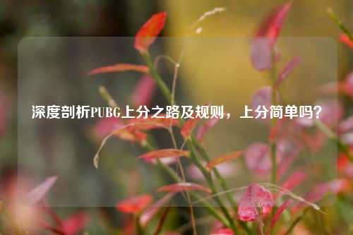 深度剖析PUBG上分之路及规则，上分简单吗？