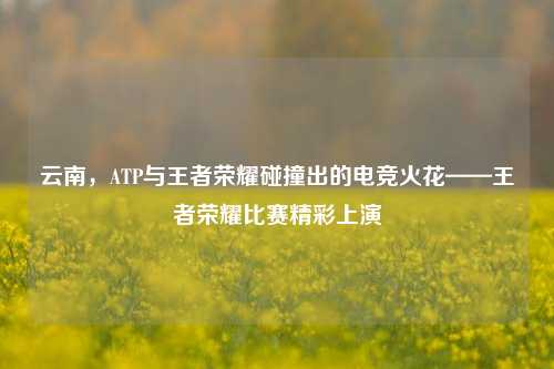 云南,ATP与王者荣耀碰撞出的电竞火花——王者荣耀比赛精彩上演