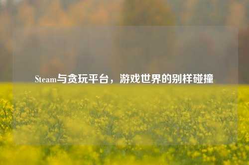 Steam与贪玩平台,游戏世界的别样碰撞