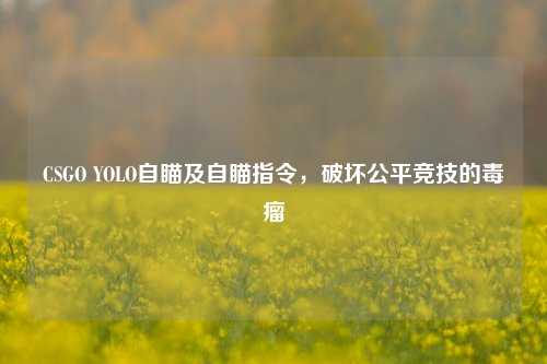 CSGO YOLO自瞄及自瞄指令,破坏公平竞技的毒瘤