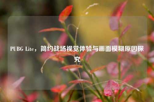 PUBG Lite,简约战场视觉体验与画面模糊原因探究