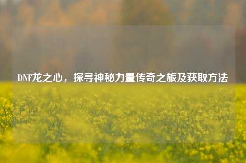 DNF龙之心,探寻神秘力量传奇之旅及获取方法