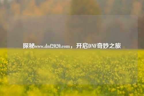 探秘www.dnf2020.com，开启DNF奇妙之旅
