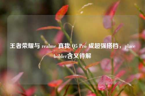 王者荣耀与 realme 真我 Q5 Pro 成超强搭档,placeholder含义待解