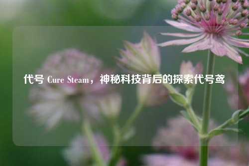 代号 Cure Steam,神秘科技背后的探索代号鸢