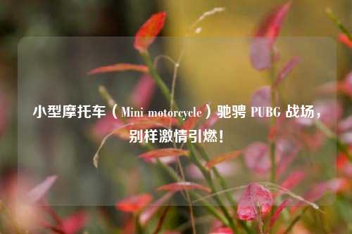 小型摩托车(Mini motorcycle)驰骋 PUBG 战场,别样激情引燃!