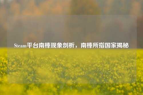 Steam平台南棒现象剖析,南棒所指国家揭秘