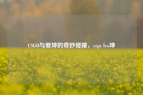 CSGO与爱坤的奇妙碰撞，csgo leo坤