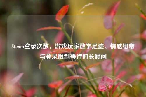 Steam登录次数，游戏玩家数字足迹、情感纽带与登录限制等待时长疑问