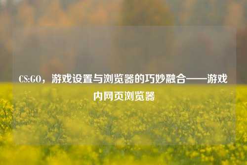 CS:GO,游戏设置与浏览器的巧妙融合——游戏内网页浏览器