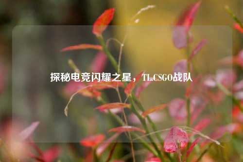 探秘电竞闪耀之星,TL.CSGO战队