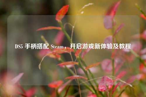 DS5 手柄搭配 Steam,开启游戏新体验及教程