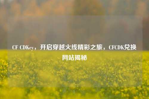 CF CDKey，开启穿越火线精彩之旅，CFCDK兑换网站揭秘