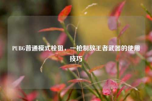 PUBG普通模式栓狙,一枪制敌王者武器的使用技巧