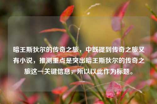 暗王斯狄尔的传奇之旅,中既提到传奇之旅又有小说,推测重点是突出暗王斯狄尔的传奇之旅这一关键信息,所以以此作为标题。