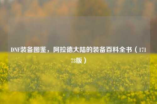 DNF装备图鉴，阿拉德大陆的装备百科全书（17173版）