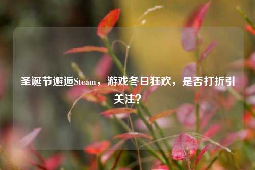 圣诞节邂逅Steam,游戏冬日狂欢,是否打折引关注?