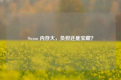 Steam 内存大,负担还是宝藏?