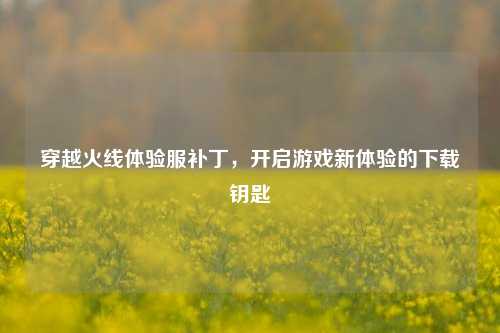 穿越火线体验服补丁,开启游戏新体验的下载钥匙