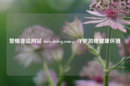 警惕非法网站 www.dnfwg.com，守护游戏健康环境