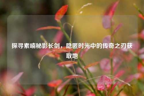 探寻素喃秘影长剑，隐匿时光中的传奇之刃获取地
