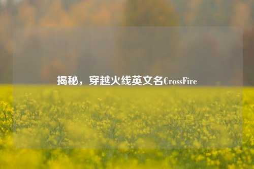 揭秘,穿越火线英文名CrossFire