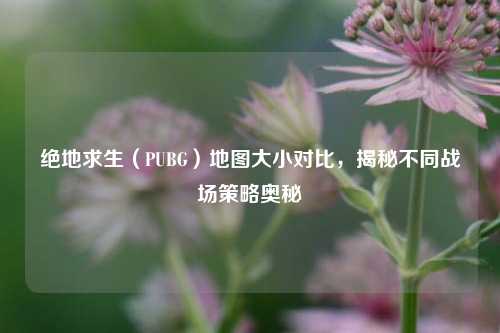 绝地求生（PUBG）地图大小对比，揭秘不同战场策略奥秘