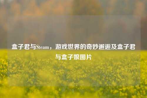 盒子君与Steam,游戏世界的奇妙邂逅及盒子君与盒子娘图片