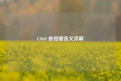 CSGO 各按键含义详解