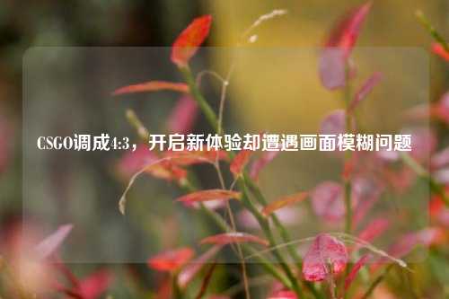 CSGO调成4:3,开启新体验却遭遇画面模糊问题
