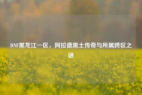 DNF黑龙江一区,阿拉德黑土传奇与所属跨区之谜
