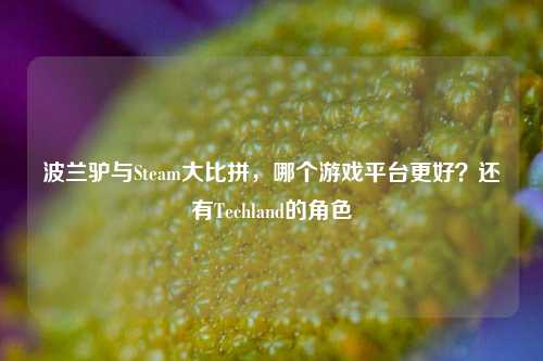 波兰驴与Steam大比拼，哪个游戏平台更好？还有Techland的角色