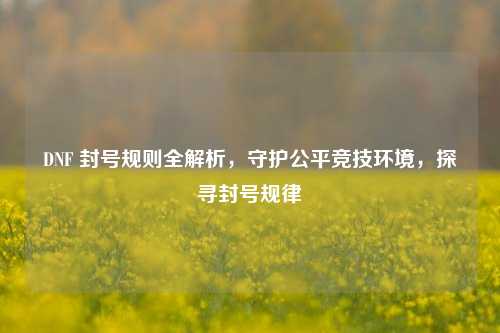 DNF 封号规则全解析,守护公平竞技环境,探寻封号规律