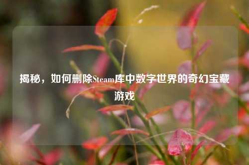 揭秘,如何删除Steam库中数字世界的奇幻宝藏游戏