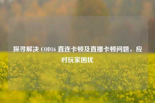 探寻解决 COD16 直连卡顿及直播卡顿问题,应对玩家困扰