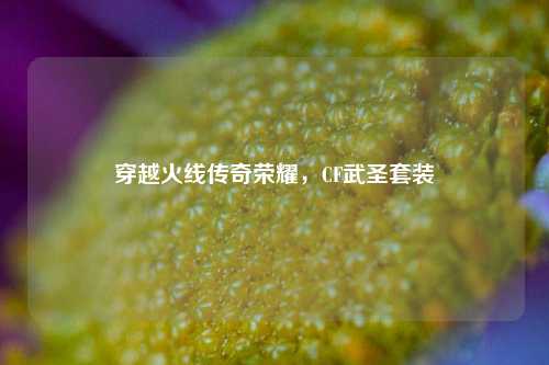 穿越火线传奇荣耀,CF武圣套装