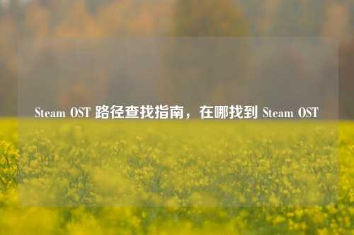 Steam OST 路径查找指南，在哪找到 Steam OST