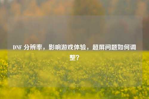 DNF 分辨率,影响游戏体验,超屏问题如何调整?