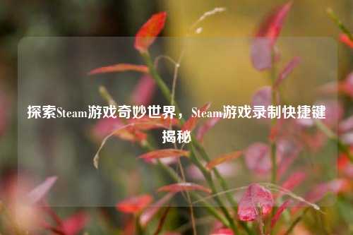 探索Steam游戏奇妙世界,Steam游戏录制快捷键揭秘