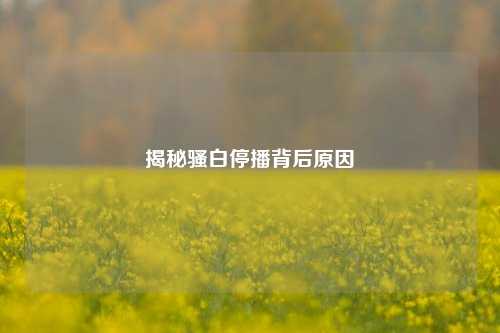 揭秘骚白停播背后原因