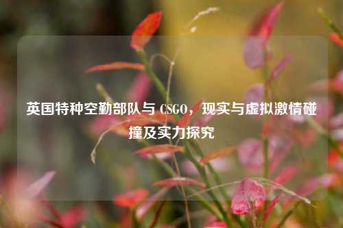 英国特种空勤部队与 CSGO,现实与虚拟激情碰撞及实力探究