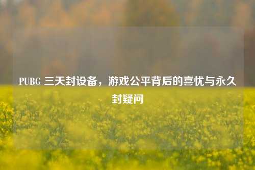 PUBG 三天封设备,游戏公平背后的喜忧与永久封疑问